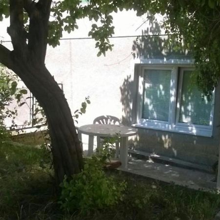Saray Downtown Apartment Private Parking Free Wifi サラエヴォ エクステリア 写真