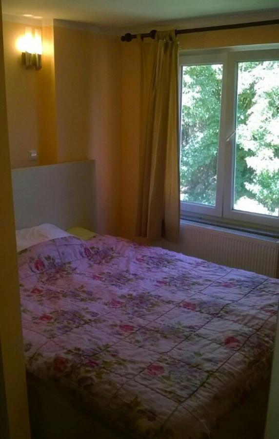 Saray Downtown Apartment Private Parking Free Wifi サラエヴォ エクステリア 写真